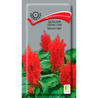 Целозия перистая Красное перо (ЦВ) (1) 0,1гр