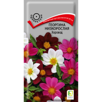 Георгина низкорослая Хоровод (ЦВ) (1) 10шт
