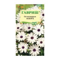 Га010094 Остеоспермум Аккорд (белый)  0,1 г