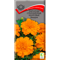 Бархатцы отклоненные махровые (Тагетес отклонённый) Мандарин ( ЦВ) (1) 0,4гр