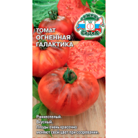 томат Огненная Галактика
