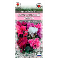 Цикламен Бахромчатый смесь