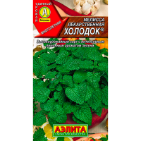 Мелисса лекарственная Холодок