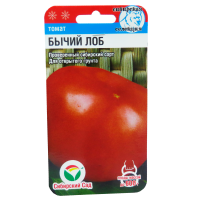 v8_24C0_34eb0 v8_24C0_34eb0