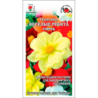 Георгина Веселые ребята смесь