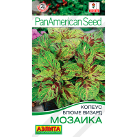 Колеус Блюме мозаика
