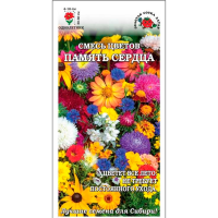 Память сердца однолетнее