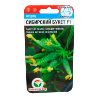 v8_24C0_34f55