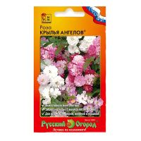 02Ру3980 Роза Крылья Ангелов (10шт)