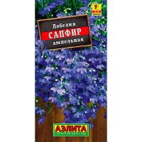 Лобелия Сапфир ампельная
