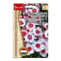 02Гр2970 Гвоздика китайская Diana Purple Centred White 3шт.-НОВИНКА NDS
