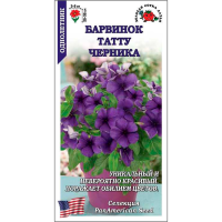Барвинок Татту Черника