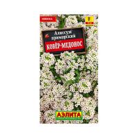 02Аэ0698 Алиссум Ковер-медонос