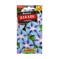 02Аэ1265 Ипомея Дакапо голубая