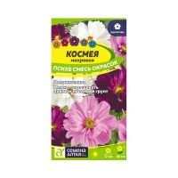 02Се2844 Цветы Космея Психе Махровая смесь