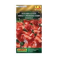 02Аэ1096 Бальзамин Афина F1 оранжевое пламя махровый