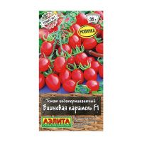 02Аэ1163 Томат Вишневая карамель F1