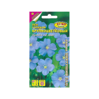 Лен Голубой крупноцветковый