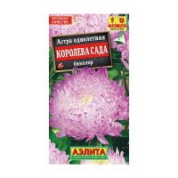 02Аэ1050 Астра Королева сада биколор