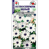 Остеоспермум Белый