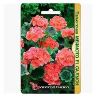 02Би3244 Пеларгония Мефисто F1 Салмон NDS