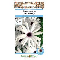 02Ру3970 Остеоспермум Прохлада (15шт)