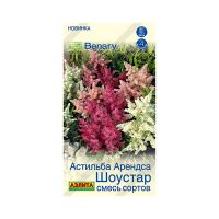 02Аэ0699 Астильба Шоустар, смесь сортов