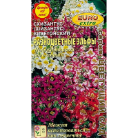 Схизантус Разноцветные эльфы смесь