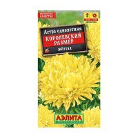 02Аэ1452 Астра Королевский размер желтая