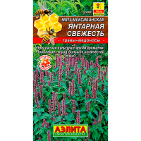 Мята мексиканская Янтарная свежесть