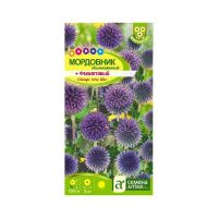 02Се2847 Цветы Мордовник Фиолетовый обыкновенный  0,2 гр. Сухоцвет