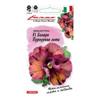 Га014413 Виола Болеро Пурпурное лето F1, Виттрока (Анютины глазки) 7 шт. серия Фарао Н21