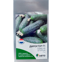 Огурец Директор F1  Nunhems,7 шт