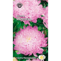 Астра Яблунева (пионовидная, бело-розовая)