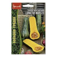 02Гр3040 Тыква мускатная Long of Naples 4 шт. NDS