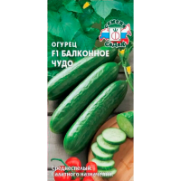 огурец Балконное Чудо F1