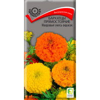 Бархатцы (Тагетес) прямостоячие Махровые смесь окрасок ( ЦВ) (1) 0,5гр