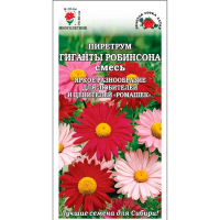 Пиретрум Гиганты Робинсона