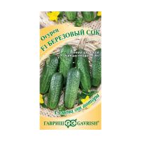 01Га4301 Огурец Березовый сок F1 автор. Н22