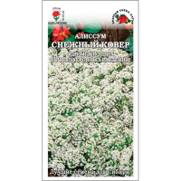 Алиссум Снежный ковер