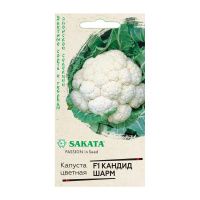 Га010249 Капуста цветная Кандид Шарм F1 10 шт. (Саката)