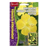 02Гр3011 Мирабилис Ночная Королева Желтая  14шт