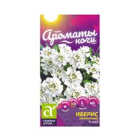 02Се2843 Цветы Иберис Смесь Окрасок зонтичный