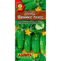 Огурец Феникс плюс