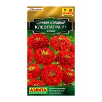 02Аэ1524 Цинния Клеопатра F1 алая