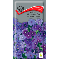 Флокс друммонда Красотка в голубом (ЦВ) (1) 0,1гр