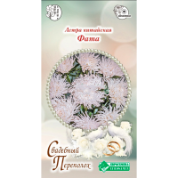 Астра ФАТА китайская (5 шт)