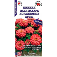 Цинния Дабл Захара Кораловые Бусы