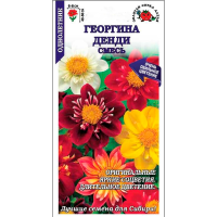 Георгина Денди смесь