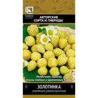 Земляника ремонтантная Золотинка(А) (ЦВ) 100шт